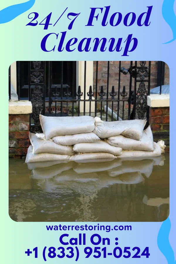 24/7 Flood Cleanup in Paw Paw, MI