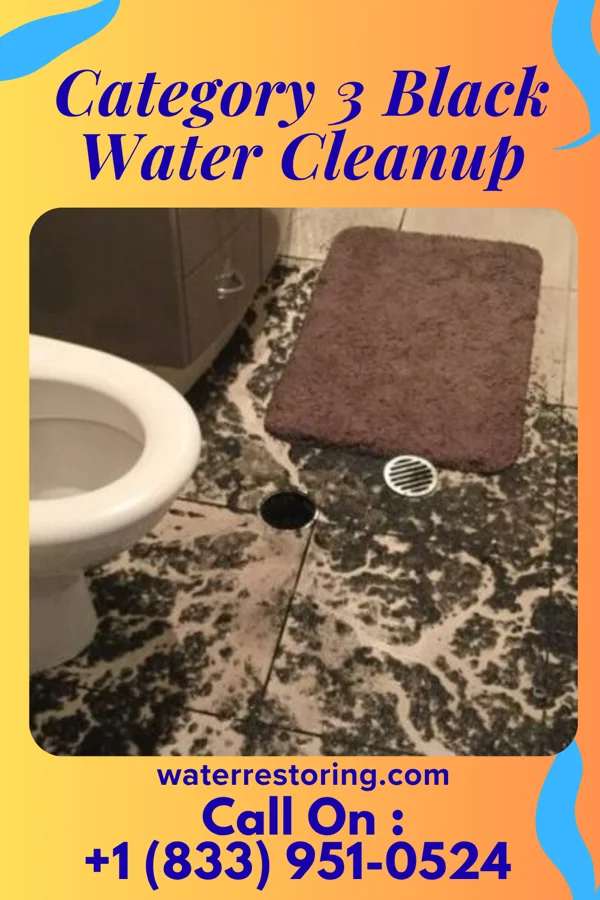 Category 3 Black Water Cleanup in Paw Paw, MI