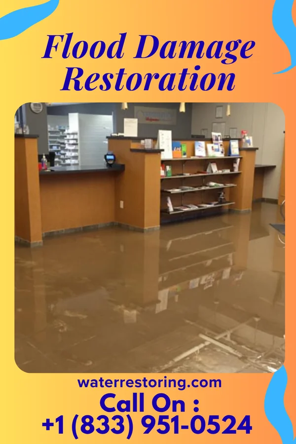 Flood Damage Restoration in Paw Paw, MI