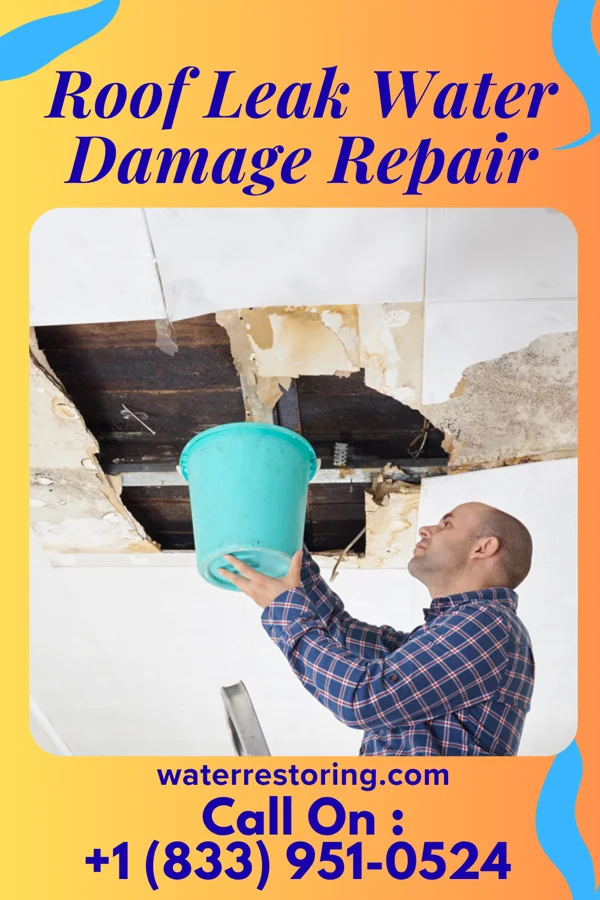 Roof Leak Water Damage Repair in Paw Paw, MI