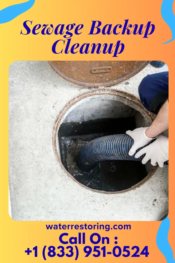 Sewage Backup Cleanup in Paw Paw, MI